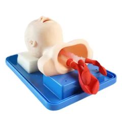 Medical Science Human Trachea Intubation Model for Nurse Training - Image 2