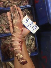 Frozen Black Tiger Shrimp Available for Global Export and Distribution Premium Black Tiger Shrimp Frozen Fresh Frozen B - Image 2