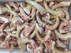Premium Quality Frozen Pork Tails for Export - Image 1