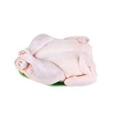 premium frozen chicken cheapest whole raw chicken for sale – product photo 2, product detail gallery