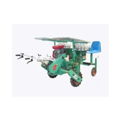 Corn Planter for Sale Planters and Seeders Rice Transplanter Color Silver Condition New Model NO. GYVT Origin Shanghai Warranty 1 - Image 2