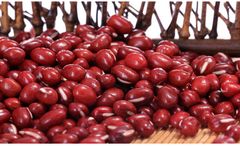 Cheap Red Cowpea Bean Red Vigna Bean Export Grade Small Red Adzuki Beans - Image 3