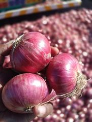 Fresh Red Onion - Image 2
