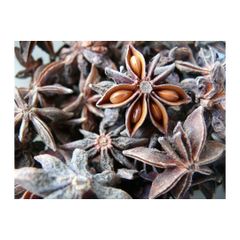 Premium quality star anise bulk supply natural spice export grade wholesale - Image 3