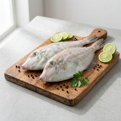 Premium Quality Frozen Leatherjacket / Filefish (Ikan Leatherjacket / Monacanthidae) – Wild Caught & Export Grade - Image 3