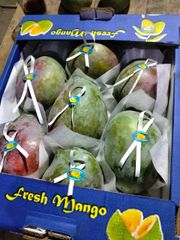 FRESH MANGOS - Image 1