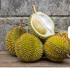 Fresh Durian Creamy Yellow Flesh and Rich Sweet Taste Cheap Price 100% Natural Tropical Fruit Common Vietnam Market - Image 1
