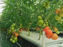 XPS Floating Rafts Foam Board Hydroponic Aquaponic Growing System - Image 2