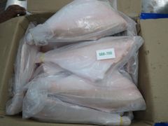 Frozen Leather Jacket Fish HGT (Headless, Gutted & Tail-Off) | Supplier & Exporter India | Bulk Wholesale Seafood – product photo 4, product detail gallery