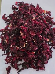 Hibiscus- Hibiscus sabdariffa - Image 1