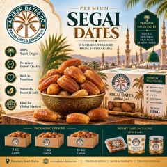 Saudi Dates Ajwa dates, Sukkari Dates, Medjool Dates, Safawi Dates, Sagai Dates, Mabroom Date, Dates Syrup, Dates Paste - Image 5