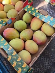 Premium Fresh Mangoes Export Ready Level 1 - Image 2