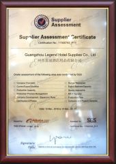 SGS Certification certificate from Ningbo Brite Import and Export Co., Ltd.