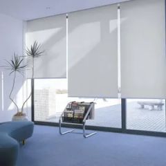 Transparent Horizontal Roller Blinds Kind Slat Origin China Style Modern Model NO. RB-009 Open Type Manual Trademark - Image 3