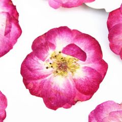 Resin Frame Bookmark Candle Materials DIY Craft Pressed Flower Bubble Rose - Image 2