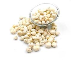 foxnut (makhana) Texture Crunchy Glycemic Index Low Fiber Content High Caloric Content Low Shelf Life 9-12 Months Source Direct From Farm - Image 3