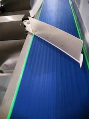 Automatic Weight Grader and Sorting Machine for Poultry and Seafood Processing - Image 6