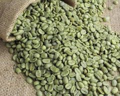 Premium Arabica & Robusta Green Coffee Beans – Wholesale Bulk Supply – product photo 5, product detail gallery