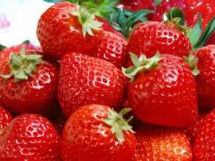 Hot Selling 4: 1~20: 1 Strawberry Juice Powder - Image 4