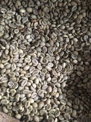 Vietnam green coffee beans arabica Robusta wet polished – product photo 4, product detail gallery