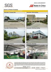 SGS certificate from Heze Hengtai Fuel Injection Equipment Co., Ltd.