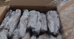HIGHLY VALUED SEA FROZEN WHOLE SQUID(LOLIGO VULGARIS) CLEANED SQUID SLIGHTLY SWEET FLAVOR 20KG CARTONS ON SALE - Image 4