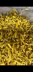 Turmeric Finger – product photo 1, product detail gallery