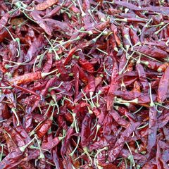 Byadgi Red Chili AD Chilli Raw Single Herbs & Spices with 2 Years Shelf 2 Max Dried 12% Max with HACCP,ISO Certification – product photo 2, product detail gallery