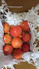 ZIVA FRESH PREMIUM POMOGRANATE - Image 2