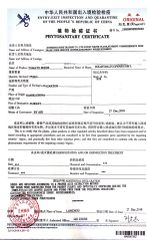 Phyto certificate from Beijing Zhongyanyinong Seedling Co., Ltd.