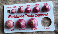 Onions Grade A Grade Color Pink (Garwa viriety) Size 25mm+ to 55mm+ as per client's requirement Packaging 1 Kg to 50 Kg in mesh/jute bags as per client's - Image 1