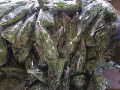 Fresh Moringa leaves - Image 2