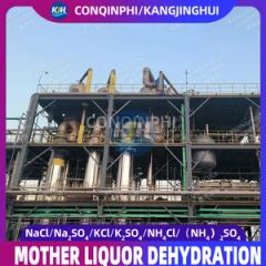 Forced Circulation Triple-Effect Evaporation Freeze Crystallization Equipment - Image 4