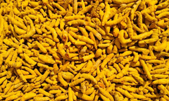 Turmeric Finger – product photo 2, product detail gallery