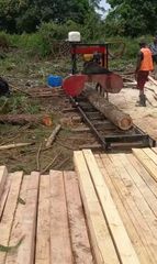 Timber - Image 1