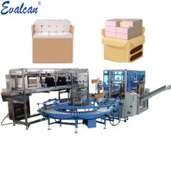 Fall Type Line Case Packer for Tissue Toilet Rolls Kitchen Rolls - Image 1