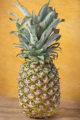 FRESH PREMIUM QUALITY PINEAPPLES FROM KENYA AND UGANDA – product photo 1, product detail gallery