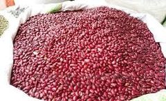 Red Kidney Beans (Wairimu) – product photo 2, product detail gallery