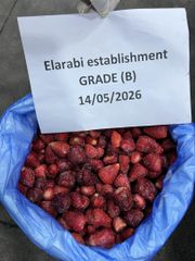 IQF Frozen Strawberry high FLAV WITHOUT SUGER GRADE (A - B - AB) – product photo 12, product detail gallery
