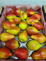 Quality Fresh Pears for sale Organic Yes Origin South Africa Harvest Condition At Peak Ripeness Harvest Timing Harvested At Peak Ripeness - Image 1