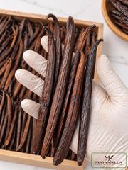 Vanilla Beans Tahitian Grade A - Image 3