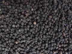 Premium Whole Black Pepper – Bold Aroma, Strong Flavor, Sun‑Dried, SP20, GB, 11 (9), 12 - Image 4