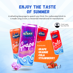 Wholesale Malaysia Supplier Halal Certified Brand Ooh Sunny Assorted Flavor Carbonated Soft Drink Cola 325ml Slim Can Packaging - Image 5