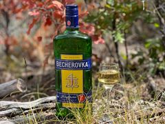 Becherovka for sale with discount price and reliable bulk supply available - Image 1