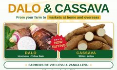 froze cassava and taro – product photo 1, product detail gallery