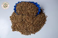 ROBUSTA COFFEE SCREEN 12 - Image 3