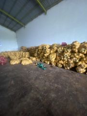 Semi Husked Coconut – product photo 2, product detail gallery