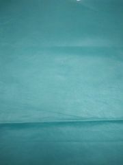 Turquoise Nappa Leather Sheet Design Plain Tannage Chrome Usage Garments Color Turquoise Thickness 3 Mm, 3 mm Finishing Semi - Image 1