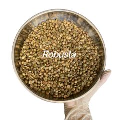 Robusta Coffee Beans Export Standard Feature Neutral Taste Bag Coffee Robusta - Raw Coffee Beans / Made in Viet Nam - Image 1