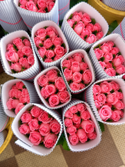 Premium Roses – Hosur (All Colours) - Image 2